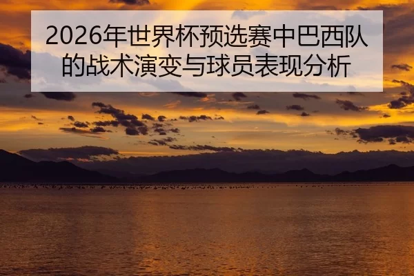2026年世界杯预选赛中巴西队的战术演变与球员表现分析