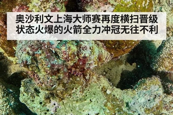 奥沙利文上海大师赛再度横扫晋级 状态火爆的火箭全力冲冠无往不利